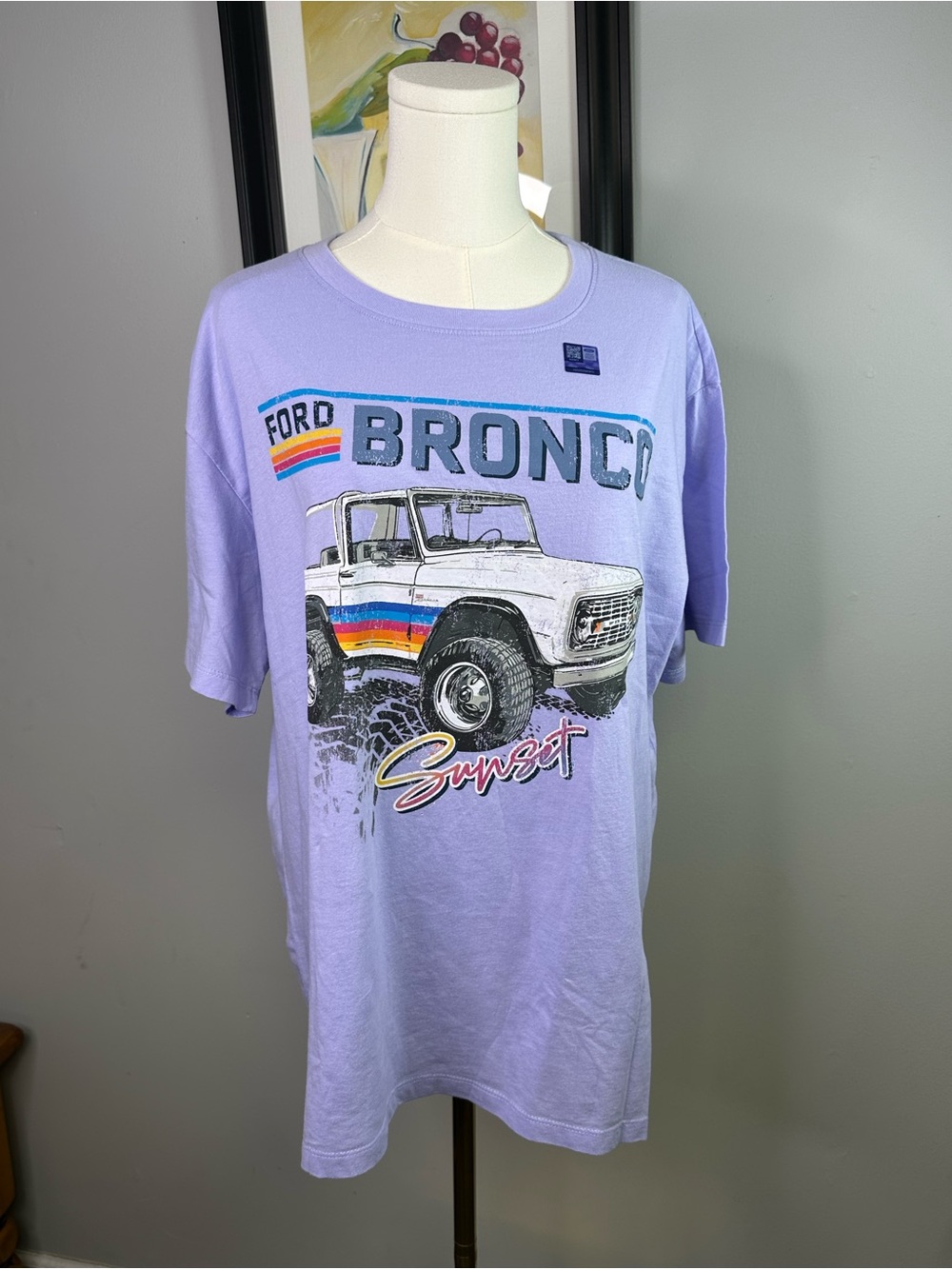 Ford Bronco Sunset Women's Size L T-shirt Purple Relaxed Fit